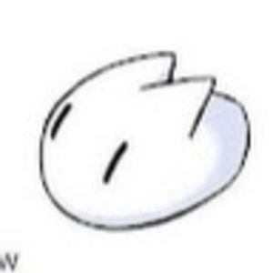 Meet your Posher, Andus